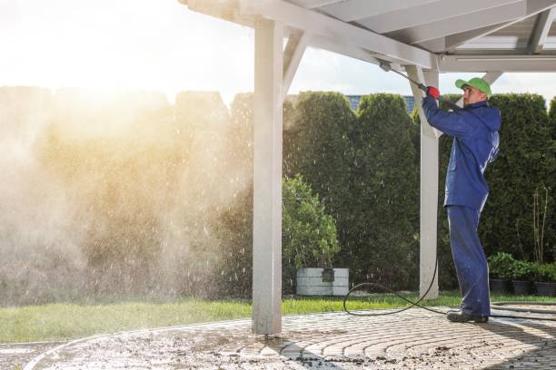 Best Spring Cleaning  in North Chicago, IL